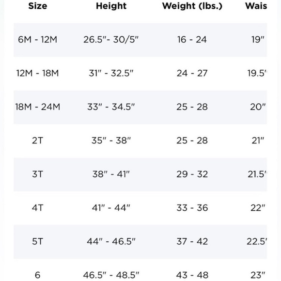 SOLD BRAND NEW!! Boys Chubbies Swim Trunks Size 2T - Picture 4 of 4